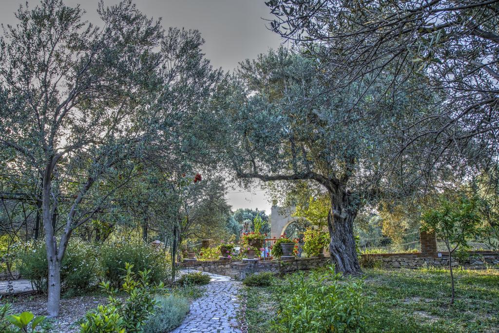 Olive Farm Of Datca Guesthouse (Adults Only) Exterior foto