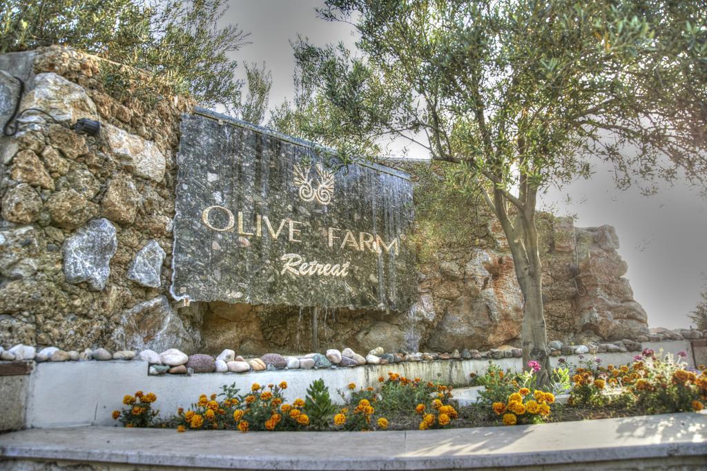 Olive Farm Of Datca Guesthouse (Adults Only) Exterior foto