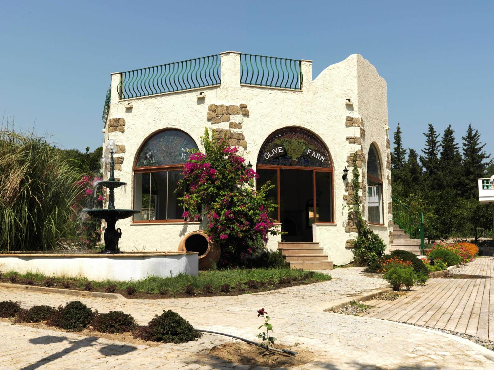 Olive Farm Of Datca Guesthouse (Adults Only) Exterior foto