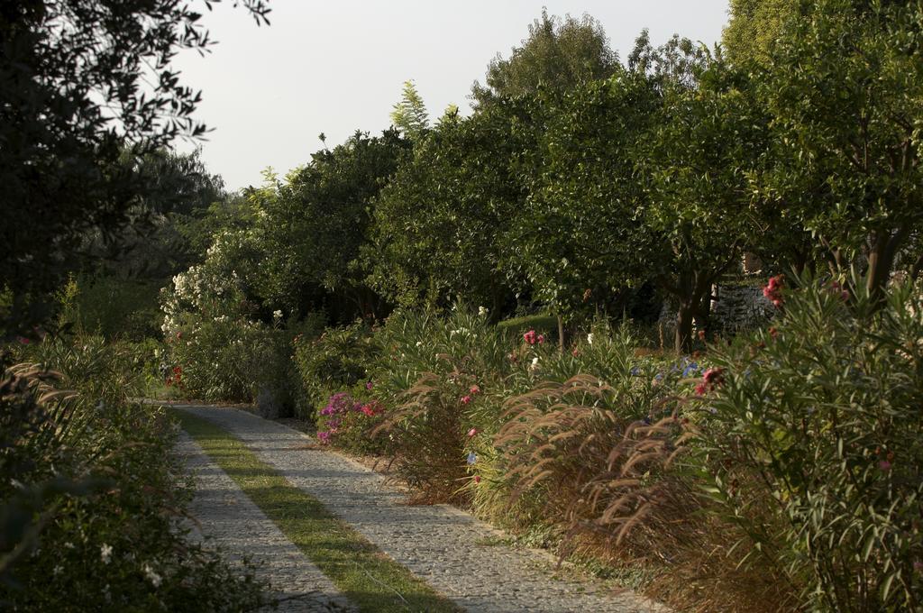 Olive Farm Of Datca Guesthouse (Adults Only) Exterior foto