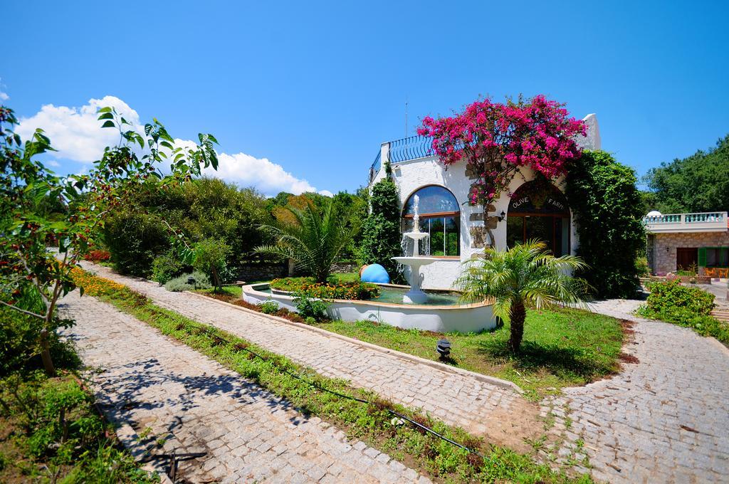 Olive Farm Of Datca Guesthouse (Adults Only) Exterior foto