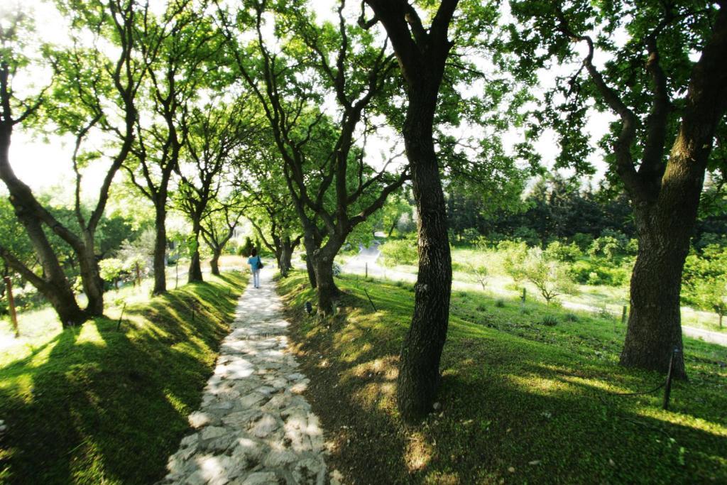 Olive Farm Of Datca Guesthouse (Adults Only) Exterior foto
